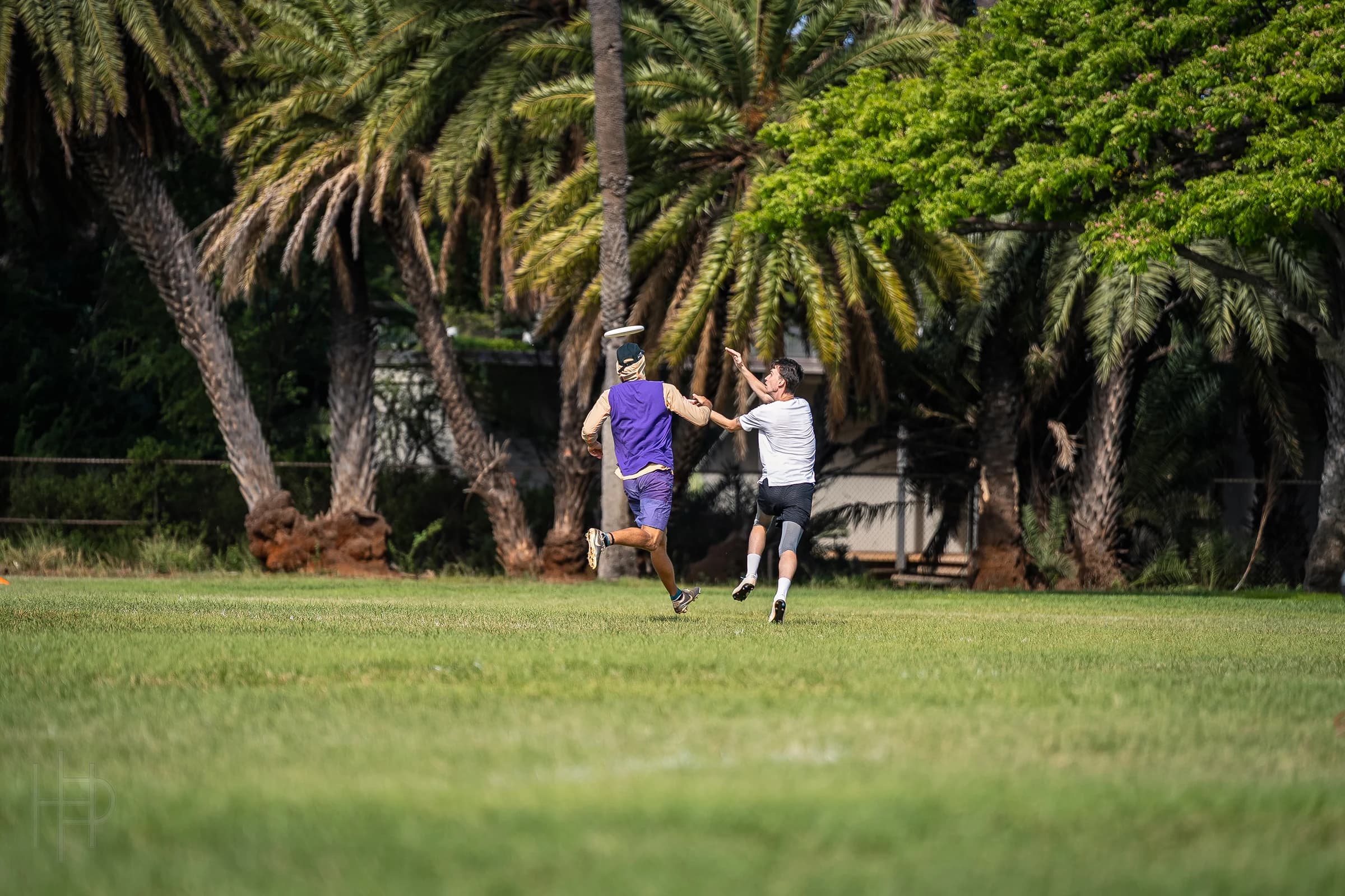 Ultimate players reaching for a disc